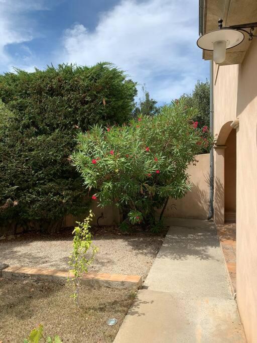 Studio En Rez-De-Jardin Arbore Avec Acces Piscine Et Clim Villeneuve-lès-Avignon 외부 사진