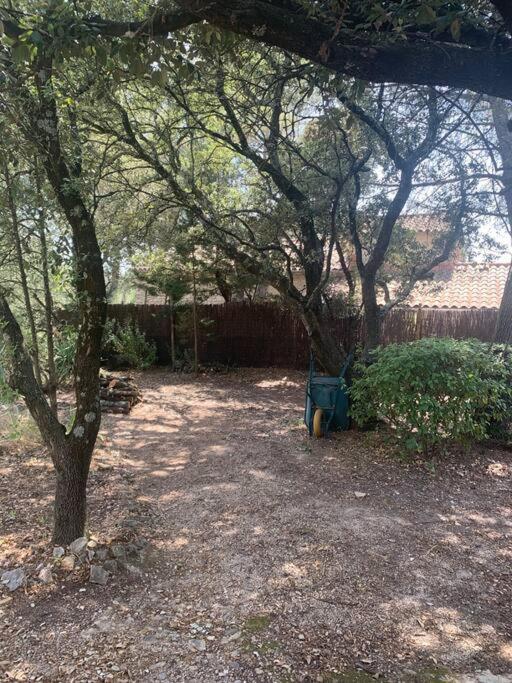 Studio En Rez-De-Jardin Arbore Avec Acces Piscine Et Clim Villeneuve-lès-Avignon 외부 사진